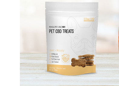 The Benefits of Cbd dog treats for Dogs with Liver Disease post thumbnail image