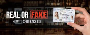 College Grazing: Navigating the World of Fake IDs for Students post thumbnail image